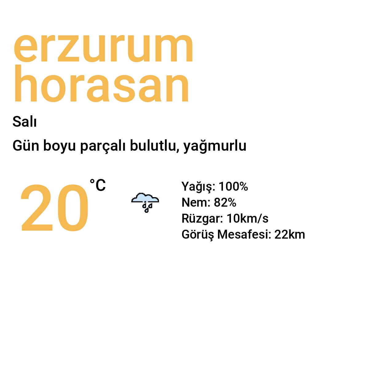 Erzurum Horasan Bugün Hava Durumu Tahmini