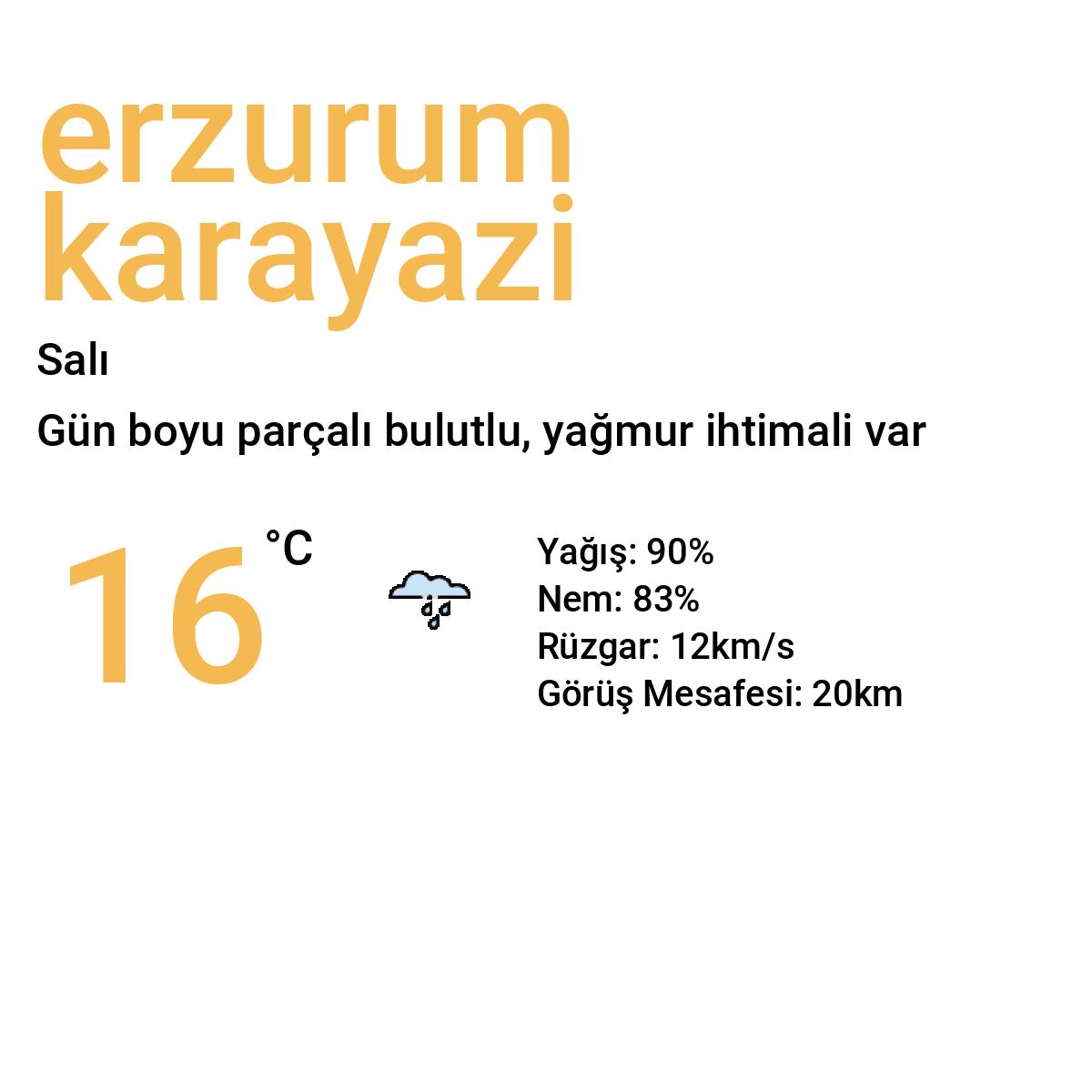 Erzurum Karayazı Bugün Hava Durumu Tahmini