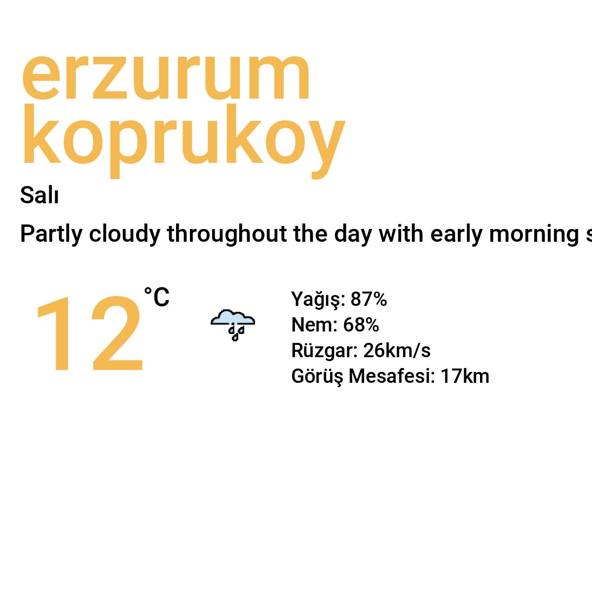 Erzurum Köprüköy Bugün Hava Durumu Tahmini