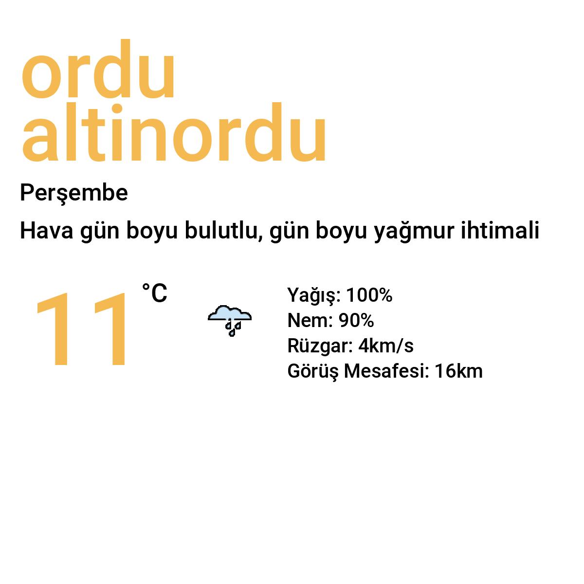 Ordu Altınordu Bugün Hava Durumu Tahmini