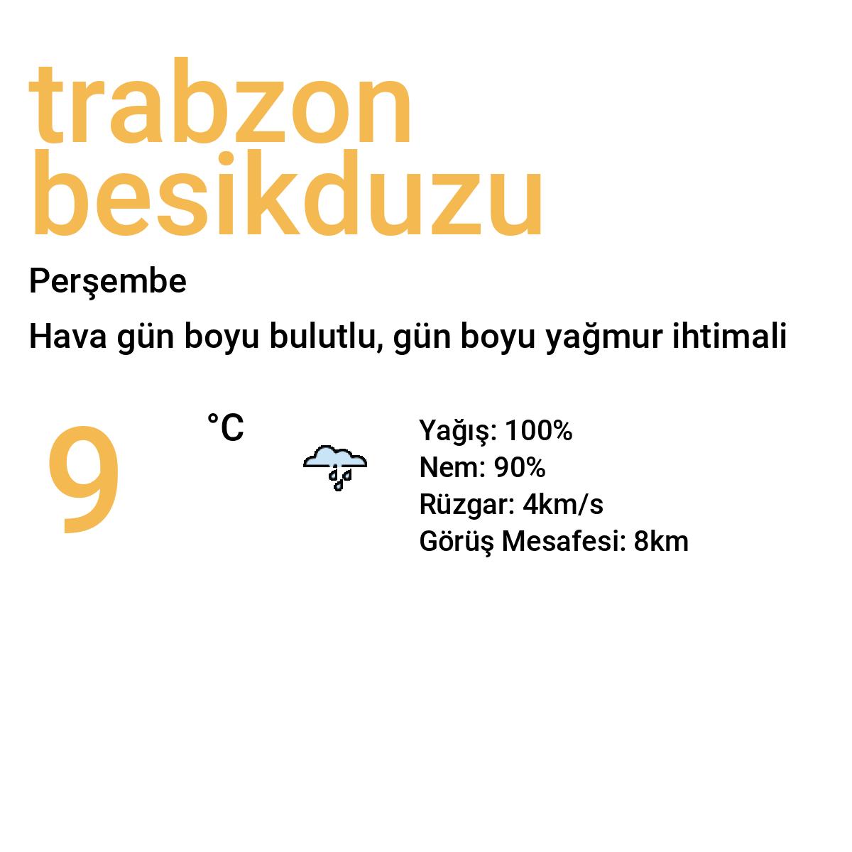 Trabzon Beşikdüzü Bugün Hava Durumu Tahmini
