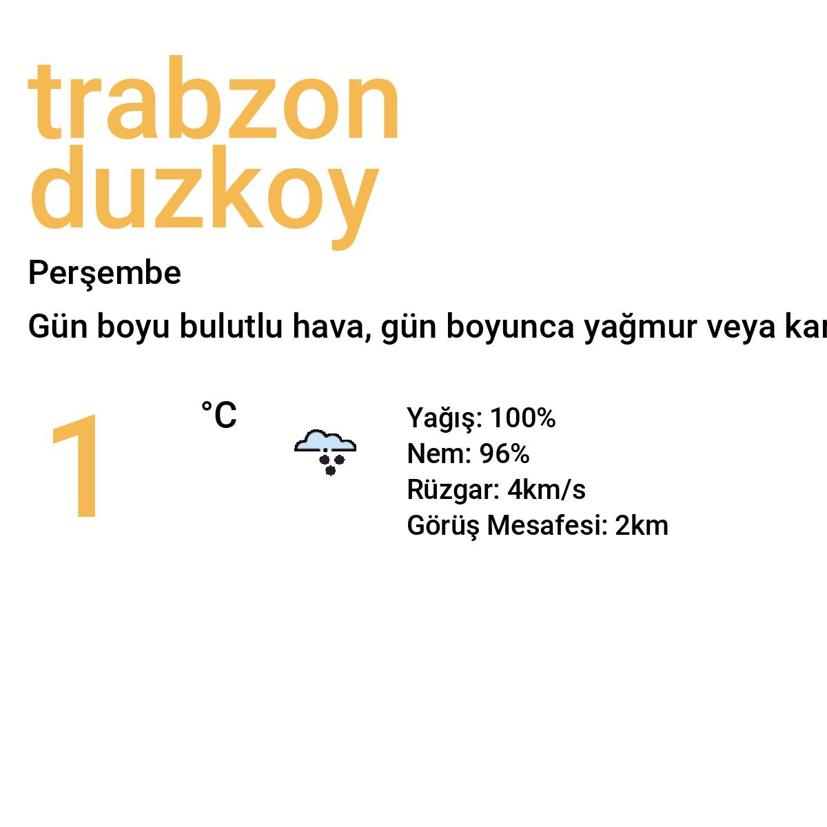 Trabzon Düzköy Bugün Hava Durumu Tahmini