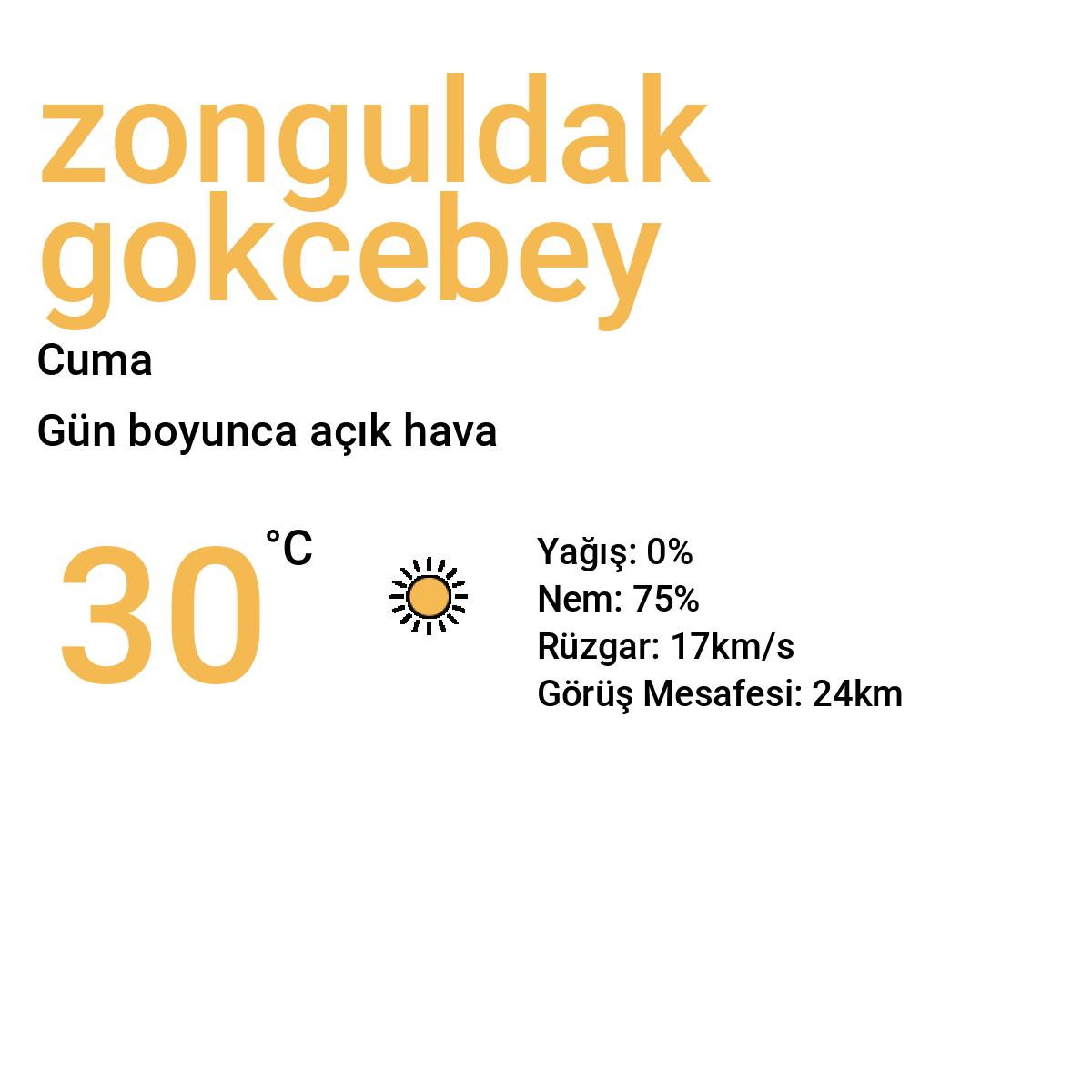 Zonguldak Gökçebey Bugün Hava Durumu Tahmini