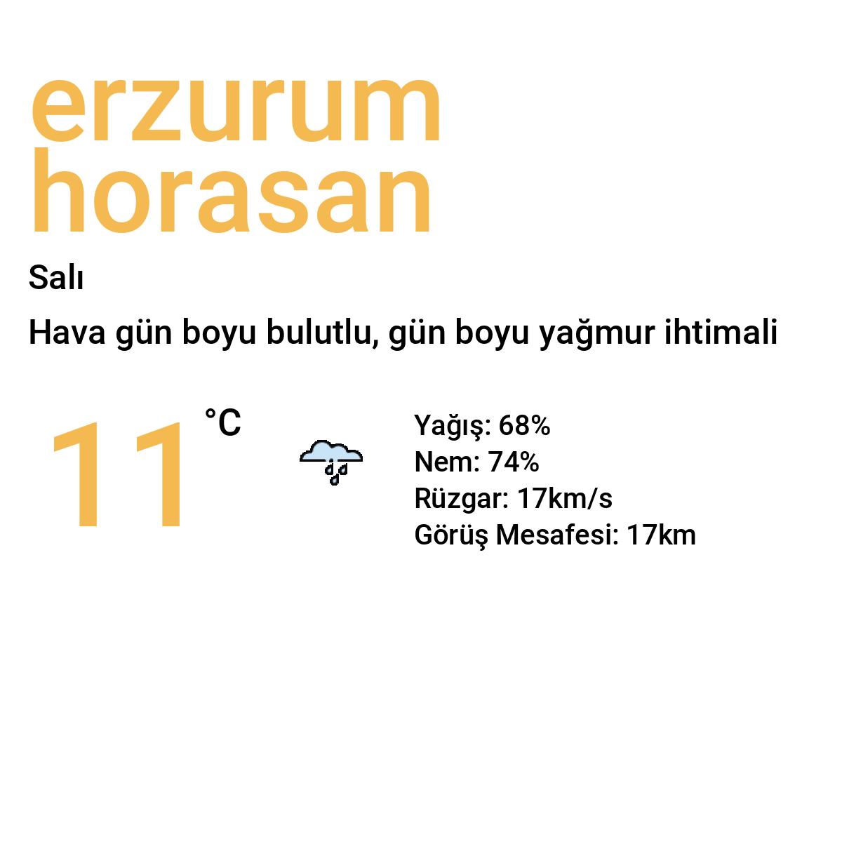 Erzurum Horasan Yarınki Hava Durumu Tahmini