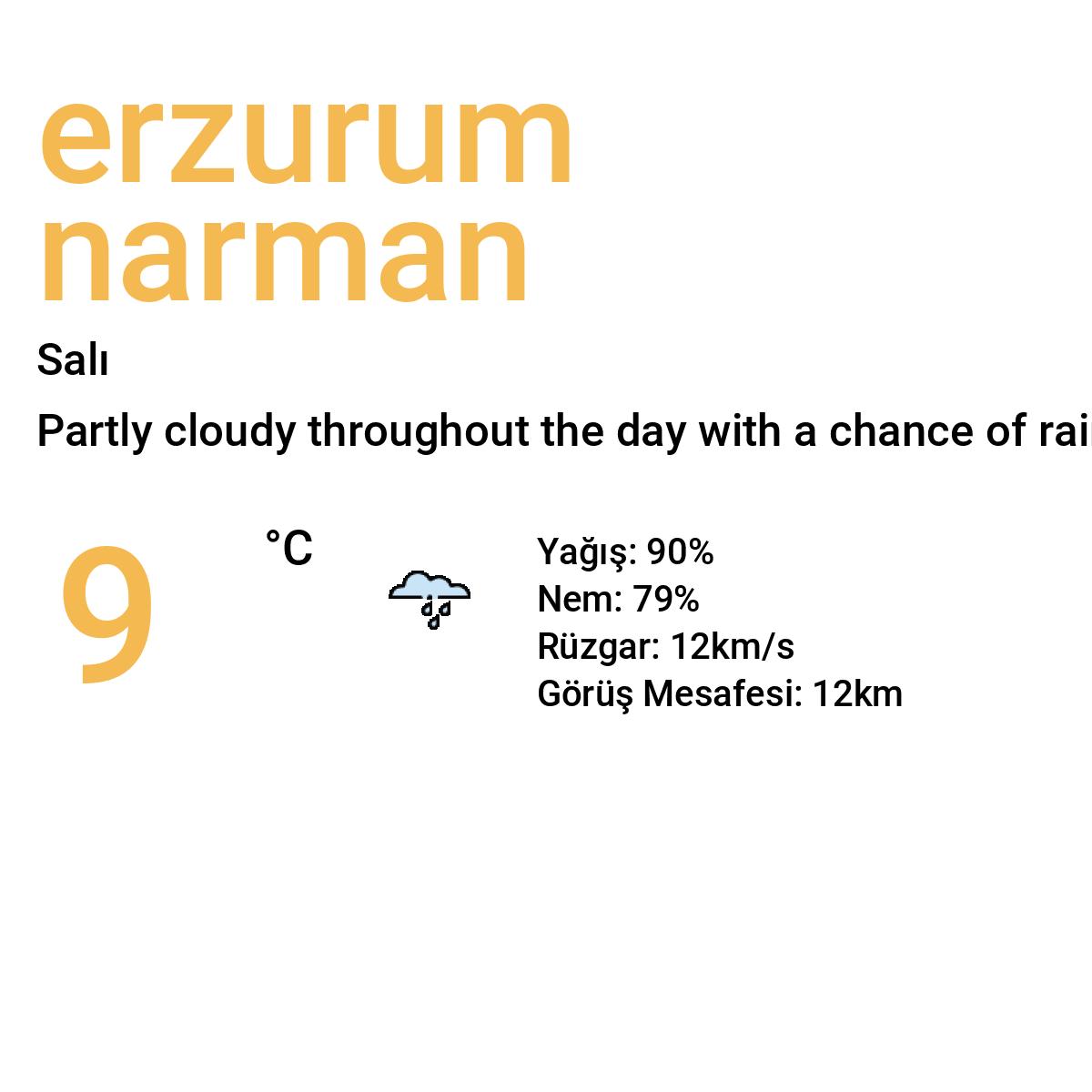 Erzurum Narman Yarınki Hava Durumu Tahmini