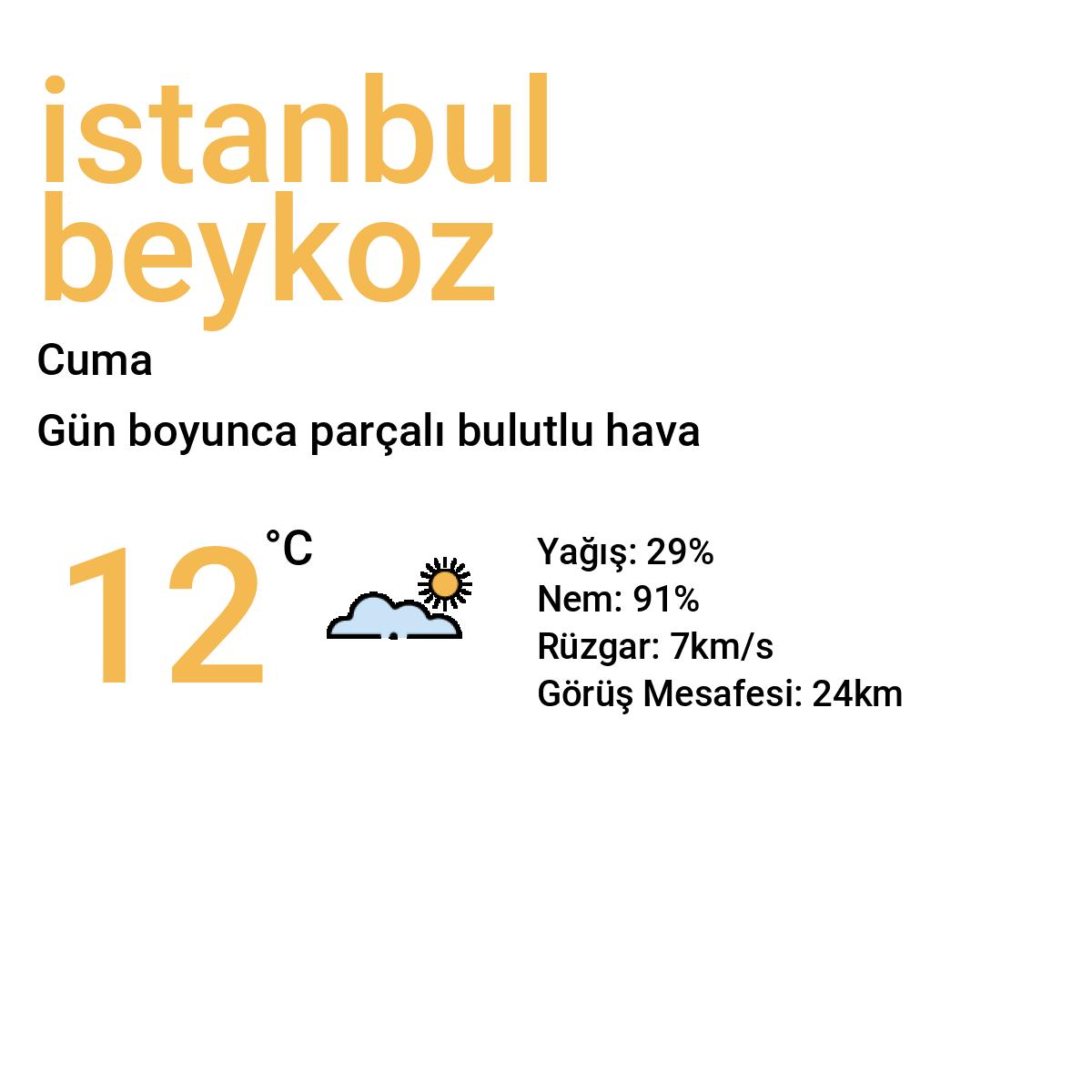 İstanbul Beykoz Yarınki Hava Durumu Tahmini