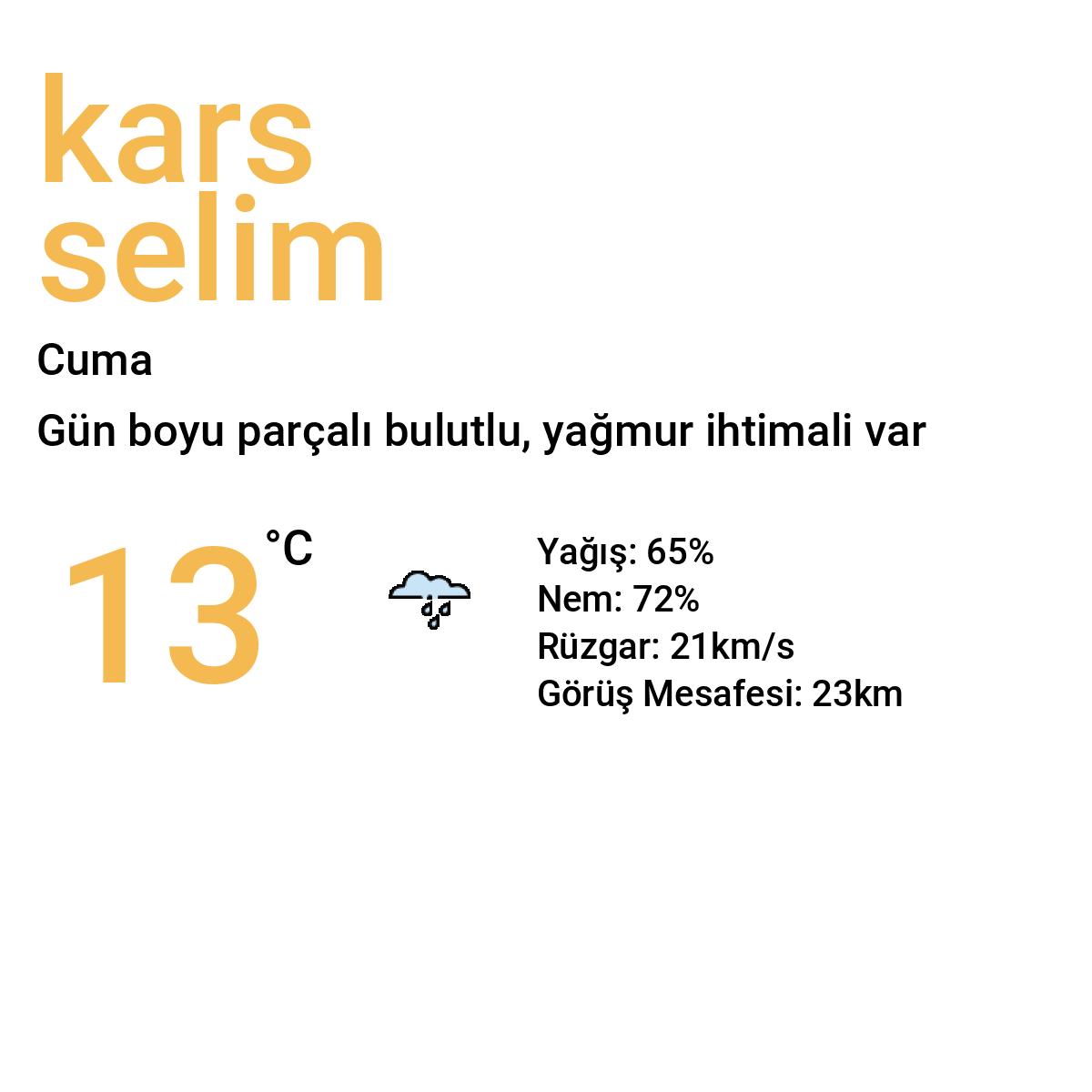 Kars Selim Yarınki Hava Durumu Tahmini