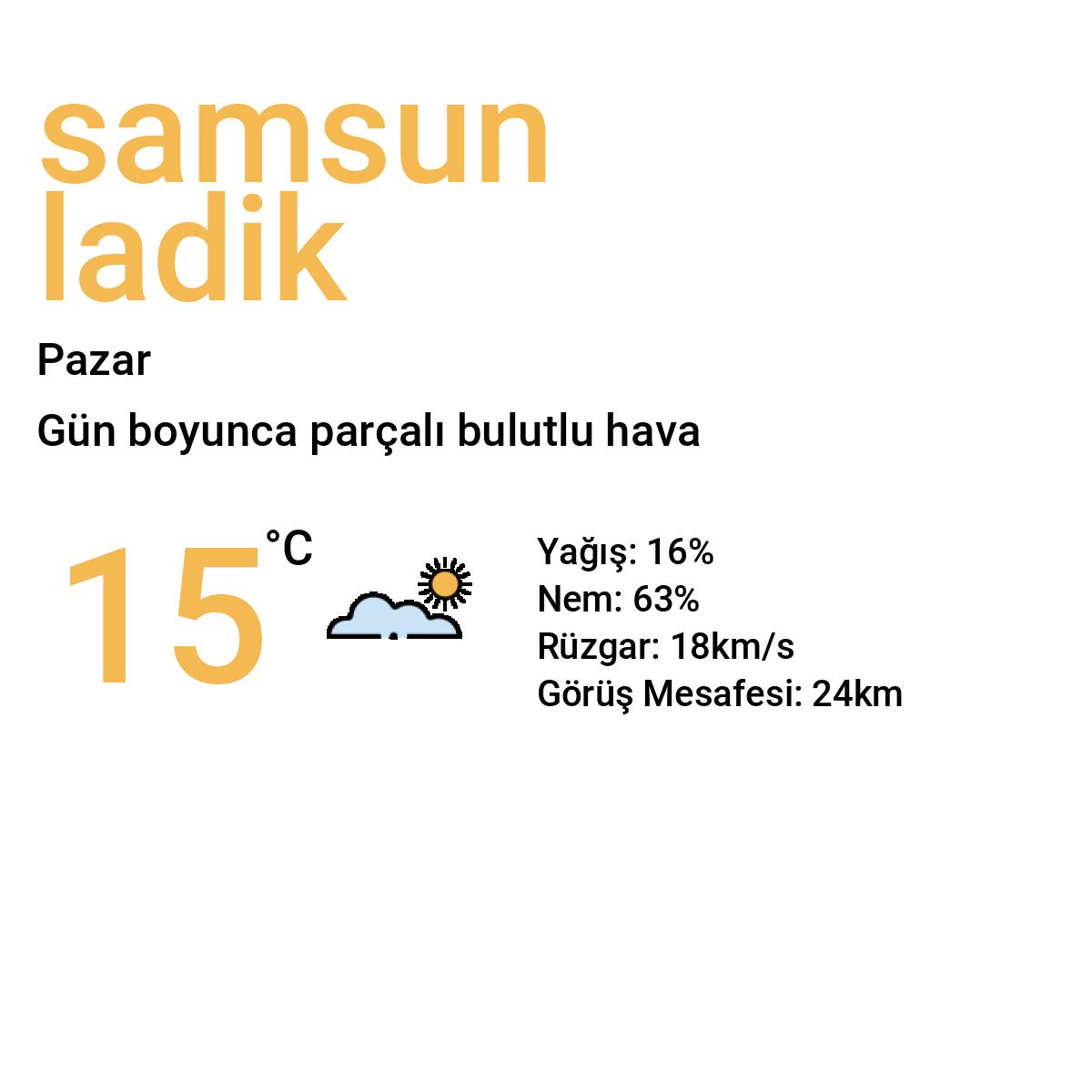 Samsun Ladik Yarınki Hava Durumu Tahmini