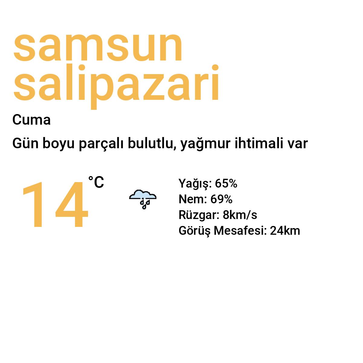 Samsun Salıpazarı Yarınki Hava Durumu Tahmini