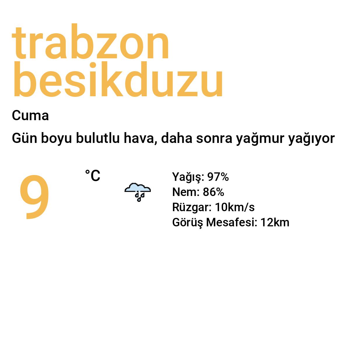 Trabzon Beşikdüzü Yarınki Hava Durumu Tahmini