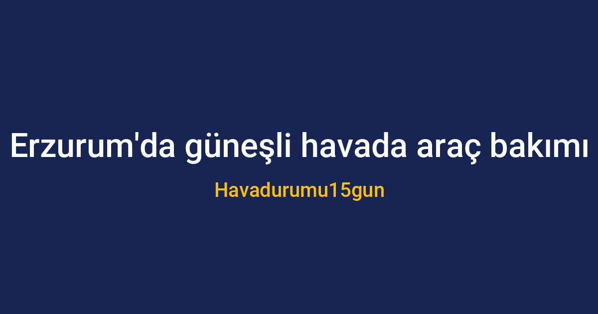 Erzurum'da güneşli bir günde temizlenen araç